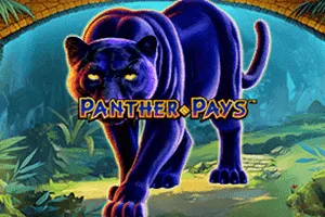 Panther Pays - JPMAXWIN188