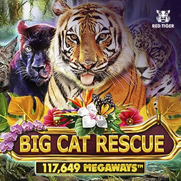 Redtiger : Big Cat Rescue Megaways - JPMAXWIN188