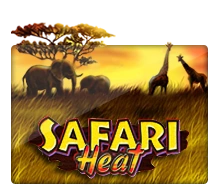Joker123 : Safari Heat - JPMAXWIN188
