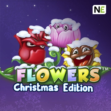 Flowers Christmas Edition - JPMAXWIN188