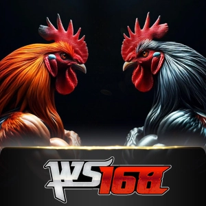 Ws168 Sabung - JPMAXWIN188