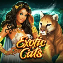 Exotic Cats - JPMAXWIN188