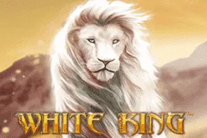 White King - JPMAXWIN188