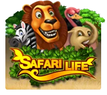 Joker123 : Safari Life - JPMAXWIN188