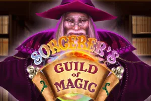 Sorcerers Guild of Magic - JPMAXWIN188