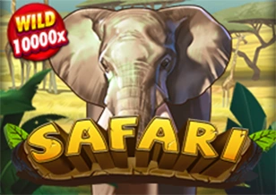 Safari - JPMAXWIN188