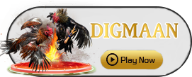 Digman - JPMAXWIN188