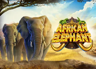 Pragmatic : African Elephant - JPMAXWIN188