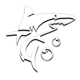 arcade - JPMAXWIN188